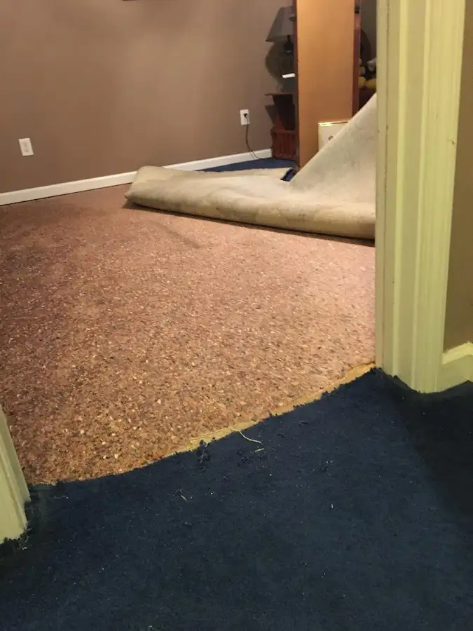 Carpet pad removal revealing water damage during Water Mitigation Services in Wooster
